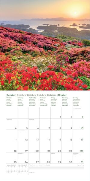 Produktbild: Aufgebl&uuml;ht - KUNTH Broschurkalender 2027