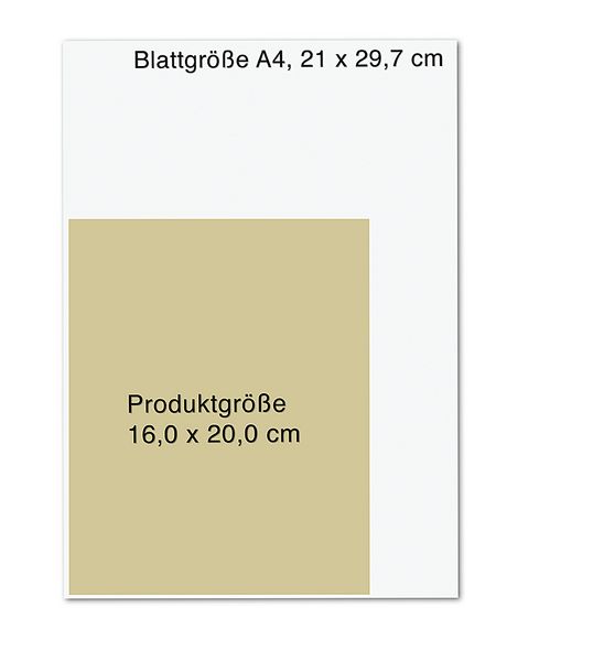 Produktbild: Das R&uuml;ckenHeilbuch f&uuml;r Frauen