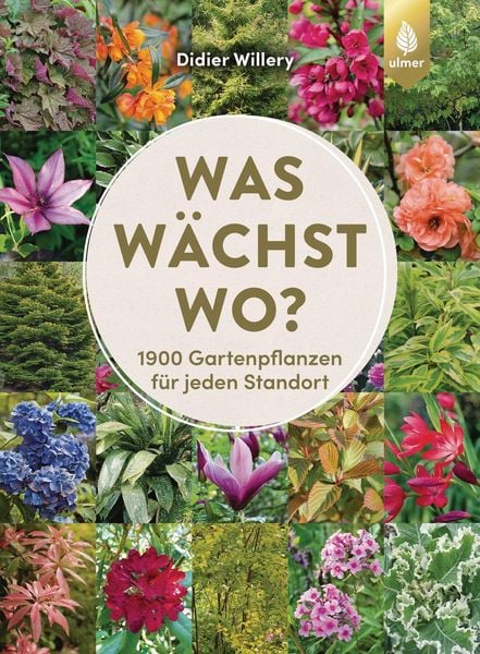 Produktbild: Was w&auml;chst wo?