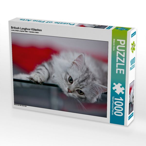 CALVENDO Puzzle Britisch Langhaar Kätzchen | 1000 Teile Lege-Größe 64x48cm Foto-Puzzle für glückliche Stunden