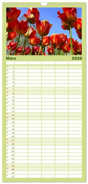 Produktbild: Familienplaner 2026 - Garten von unten. Ein Perspektivwechsel mit 5 Spalten (Wandkalender, 21 x 45 cm) CALVENDO