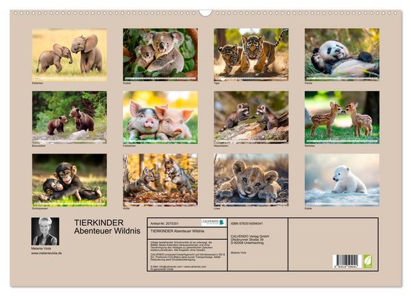 Produktbild: TIERKINDER Abenteuer Wildnis (Wandkalender 2026 DIN A2 quer), CALVENDO Monatskalender
