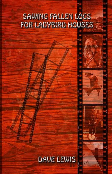 Produktbild: Sawing Fallen Logs For Ladybird Houses