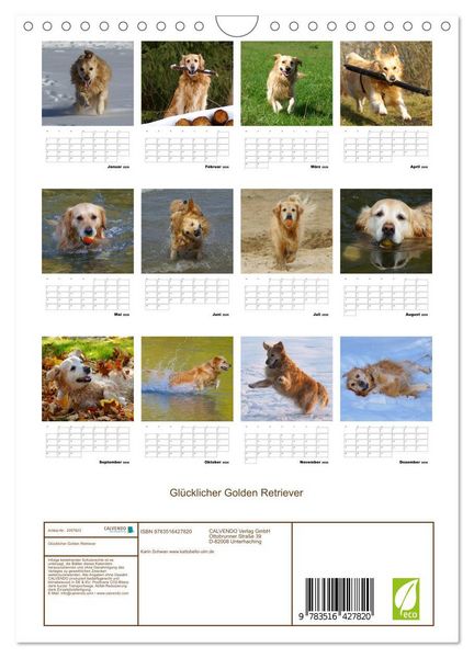 Produktbild: Gl&uuml;cklicher Golden Retriever (Wandkalender 2026 DIN A4 hoch), CALVENDO Monatskalender