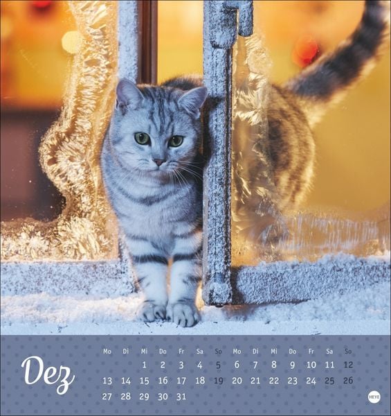 Produktbild: Katzen Postkartenkalender Kleine Tiger 2027