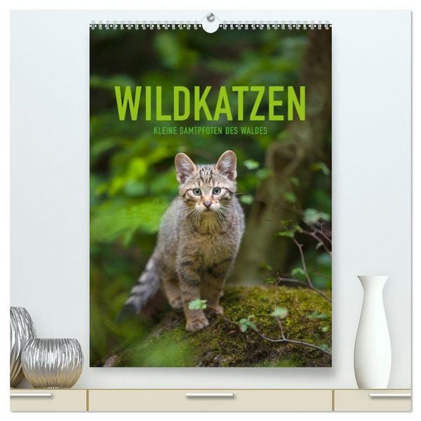 Produktbild: Wildkatzen - Kleine Samtpfoten des Waldes (hochwertiger Premium Wandkalender 2026 DIN A2 hoch), Kunstdruck in Hochglanz