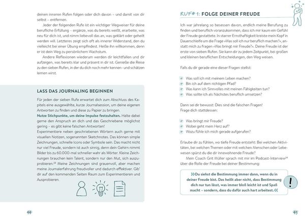 Produktbild: Das BeRUFungsprinzip