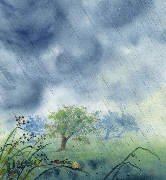 Produktbild: Bertie Pom und das gro&szlig;e Donnerwetter
