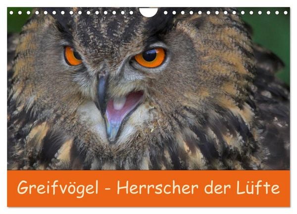 Produktbild: Greifv&ouml;gel - Herrscher der L&uuml;fte (Wandkalender 2026 DIN A4 quer), CALVENDO Monatskalender