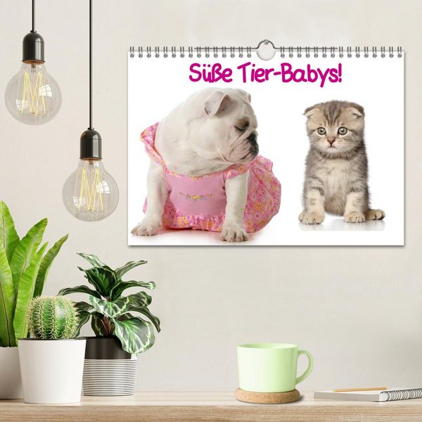 Produktbild: S&uuml;&szlig;e Tier-Babys! (Wandkalender 2026 DIN A4 quer), CALVENDO Monatskalender