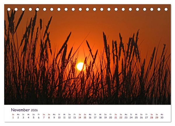Produktbild: Natur und Landschaft Mecklenburg - Vorpommern 2026 (Tischkalender 2026 DIN A5 quer), CALVENDO Monatskalender