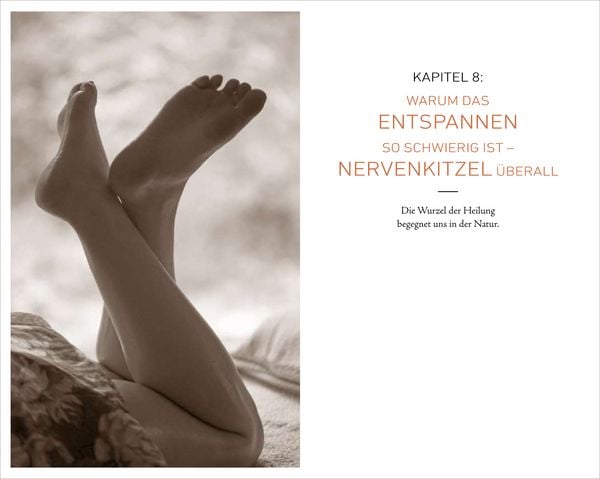 Produktbild: K&ouml;rperfl&uuml;stern