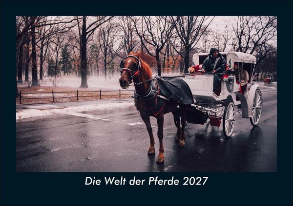 Produktbild: Die Welt der Pferde 2027 Fotokalender DIN A5