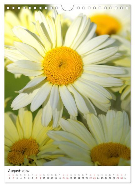 Produktbild: Bl&uuml;tenpracht im Fr&uuml;hling und Sommer (Wandkalender 2026 DIN A4 hoch), CALVENDO Monatskalender