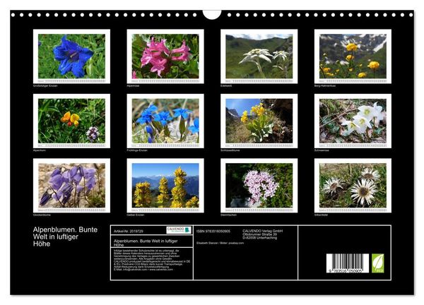 Produktbild: Alpenblumen. Bunte Welt in luftiger H&ouml;he (Wandkalender 2026 DIN A3 quer), CALVENDO Monatskalender