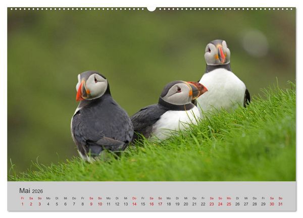 Produktbild: F&auml;r&ouml;er Inseln 2026 (Wandkalender 2026 DIN A2 quer), CALVENDO Monatskalender