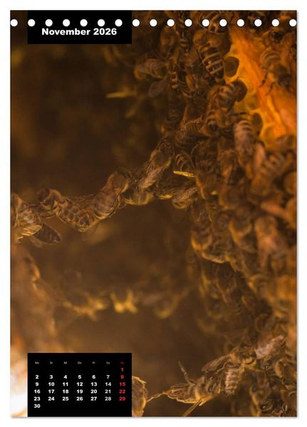Produktbild: Bienen in ihrem geheimen Reich (Tischkalender 2026 DIN A5 hoch), CALVENDO Monatskalender