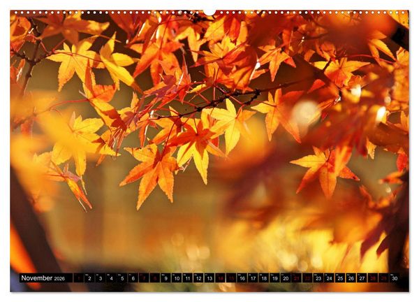 Produktbild: Japan - Details (Wandkalender 2026 DIN A2 quer), CALVENDO Monatskalender