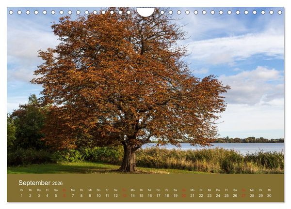 Produktbild: M&ouml;n, Impressionen einer d&auml;nischen Insel (Wandkalender 2026 DIN A4 quer), CALVENDO Monatskalender
