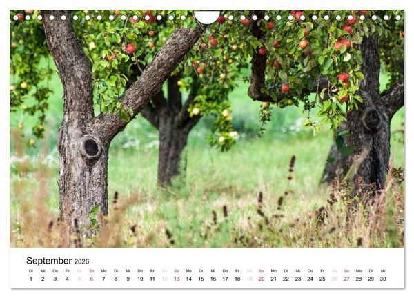 Produktbild: Impressionen aus Kernen im Remstal (Wandkalender 2026 DIN A4 quer), CALVENDO Monatskalender