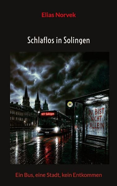 Produktbild: Schlaflos in Solingen