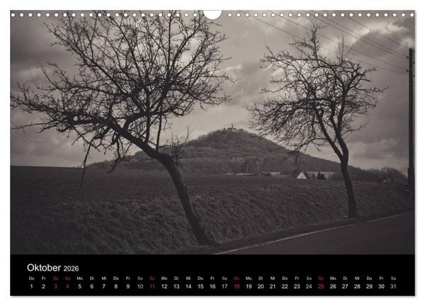 Produktbild: B&auml;ume trees 2026 (Wandkalender 2026 DIN A3 quer), CALVENDO Monatskalender