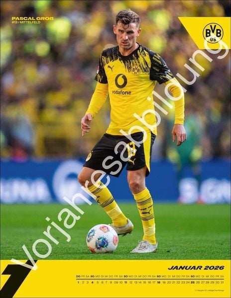 Produktbild: BVB Posterkalender 2027