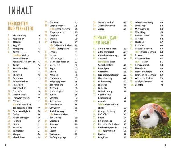 Produktbild: 300 Fragen zum Zwergkaninchen