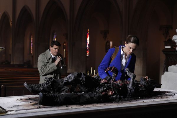 Produktbild: Bones - Season 5 [6 DVDs]