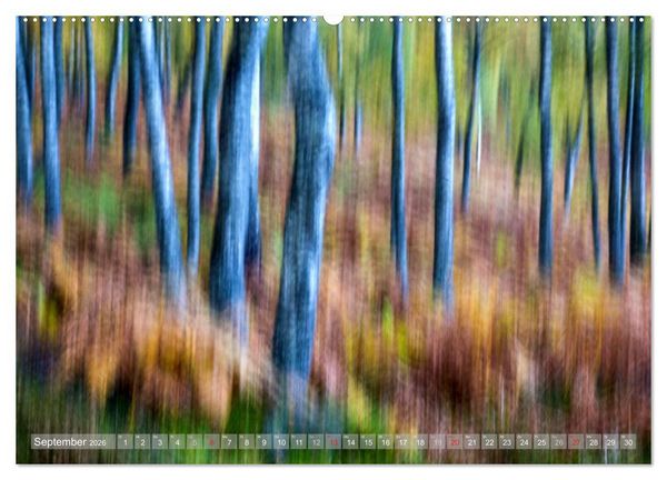Produktbild: Atelier Wald - gemalt mit Licht (hochwertiger Premium Wandkalender 2026 DIN A2 quer), Kunstdruck in Hochglanz