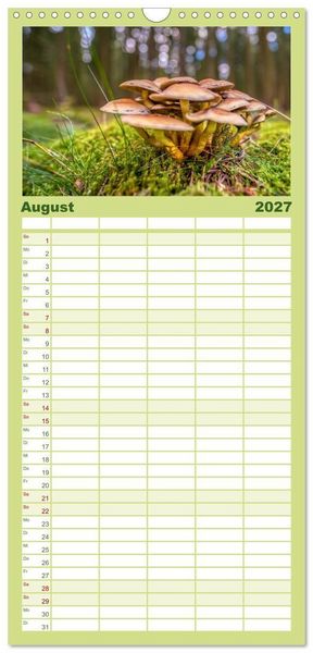 Produktbild: Familienplaner 2027 - Vielfalt am Waldboden mit 5 Spalten (Wandkalender, 21 x 45 cm) CALVENDO