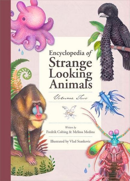 Produktbild: Encyclopedia of Strange Looking Animals