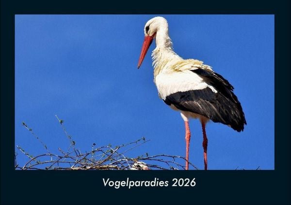 Produktbild: Vogelparadies 2026 Fotokalender DIN A4