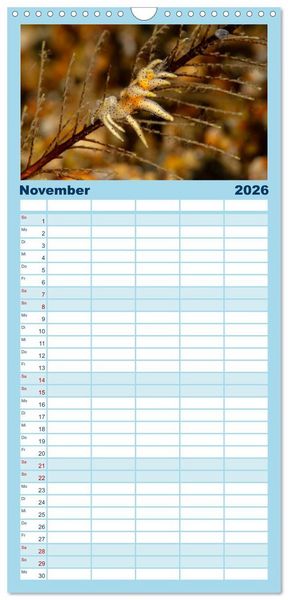 Produktbild: Familienplaner 2026 - Nudis &ndash; Die bunte Welt der Nacktschnecken mit 5 Spalten (Wandkalender, 21 x 45 cm) CALVENDO