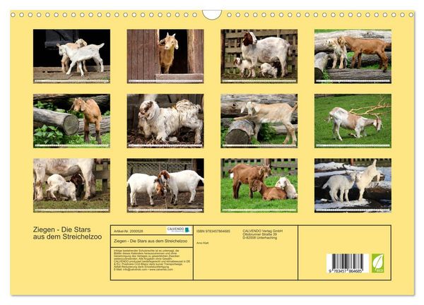 Produktbild: Ziegen - Die Stars aus dem Streichelzoo (Wandkalender 2026 DIN A3 quer), CALVENDO Monatskalender