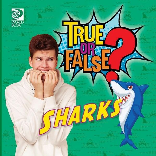 Produktbild: True or False? Sharks