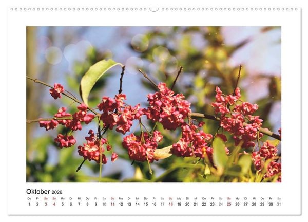 Produktbild: Mein Sehnsuchtsort, der Garten (hochwertiger Premium Wandkalender 2026 DIN A2 quer), Kunstdruck in Hochglanz
