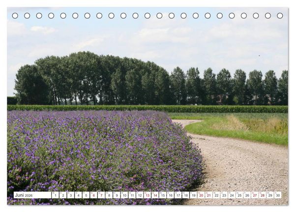 Produktbild: Seel&auml;ndisches Flandern (Tischkalender 2026 DIN A5 quer), CALVENDO Monatskalender
