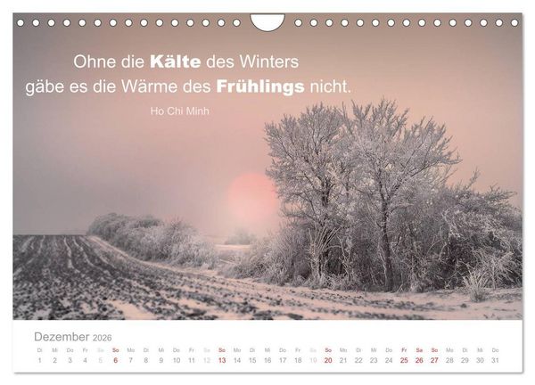 Produktbild: Zauberhafte Spr&uuml;che - Bunte Seelenbl&uuml;ten (Wandkalender 2026 DIN A4 quer), CALVENDO Monatskalender