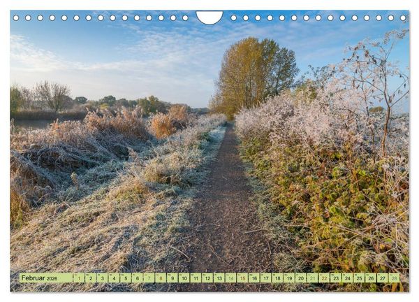 Produktbild: Gr&uuml;nes Halle/Saale - Meine wilde H&auml;ndelstadt (Wandkalender 2026 DIN A4 quer), CALVENDO Monatskalender