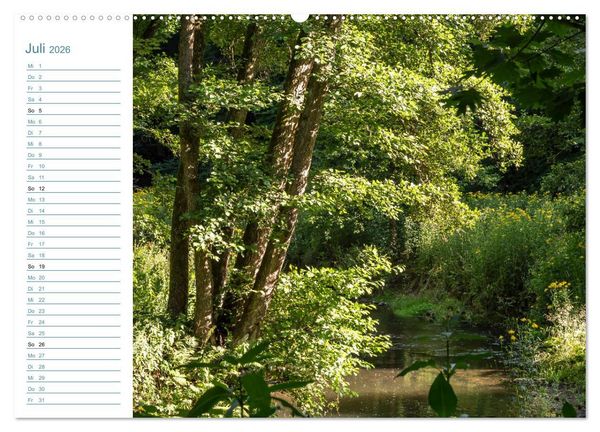 Produktbild: Lebensadern - Elbsandstein (Wandkalender 2026 DIN A2 quer), CALVENDO Monatskalender