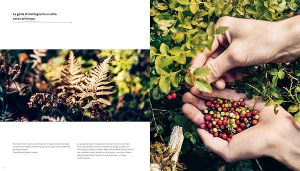 Produktbild: Cook The Mountain [Edizione italiana; 2 Bde. im Schuber]