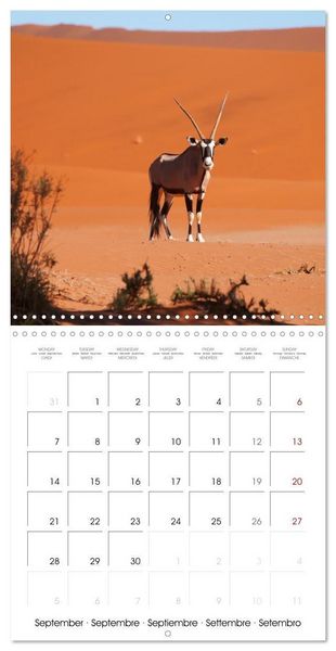 Produktbild: Namibian Adventure (Wall Calendar 2026 12 &times; 12 Inch) CALVENDO 12 Month Wall Calendar