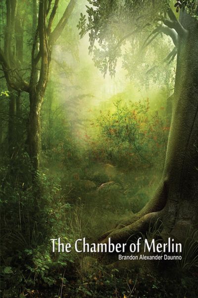 Produktbild: The Chamber of Merlin