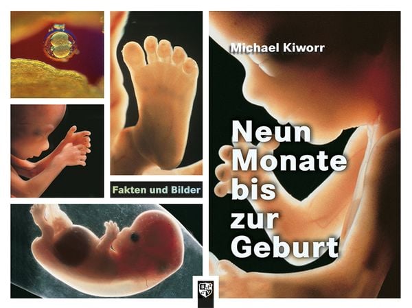 Produktbild: Neun Monate bis zur Geburt
