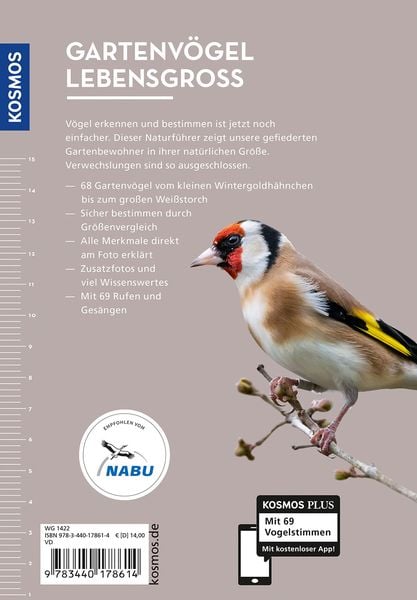 Produktbild: Gartenv&ouml;gel lebensgro&szlig;