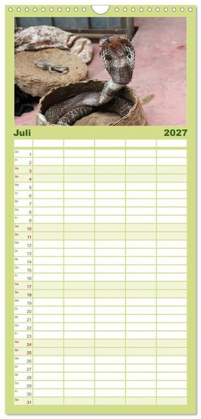 Produktbild: Familienplaner 2027 - Schlangen mit 5 Spalten (Wandkalender, 21 x 45 cm) CALVENDO