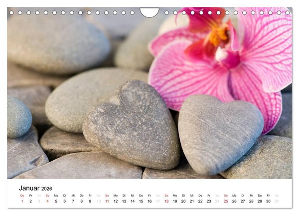 Produktbild: Mein Herz schl&auml;gt pink (Wandkalender 2026 DIN A4 quer), CALVENDO Monatskalender