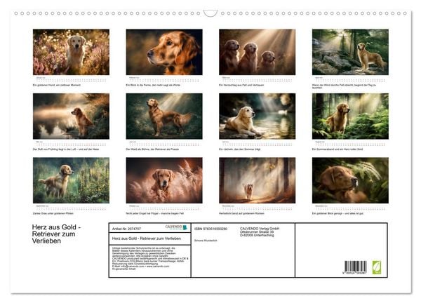 Produktbild: Herz aus Gold - Retriever zum Verlieben (Wandkalender 2026 DIN A2 quer), CALVENDO Monatskalender