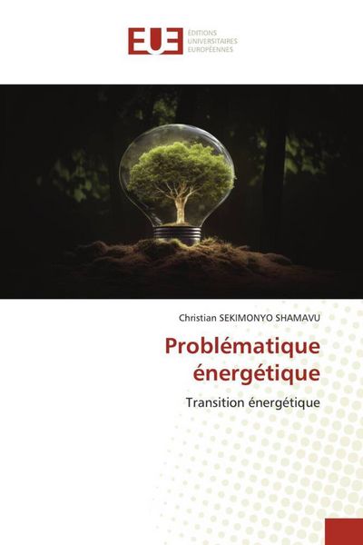 Produktbild: Probl&eacute;matique &eacute;nerg&eacute;tique